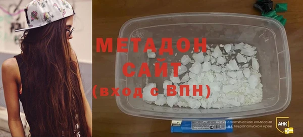 индика Нягань