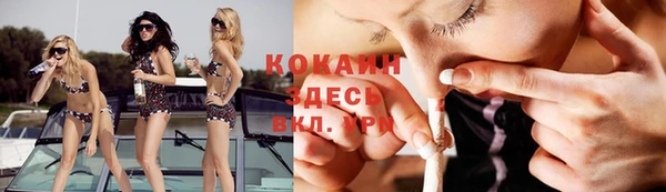 амф Няндома