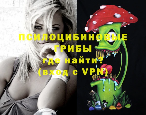 меф Осинники