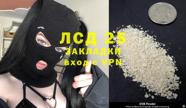 индика Нягань