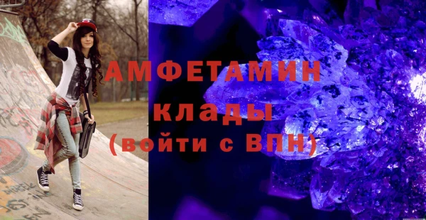 индика Нягань