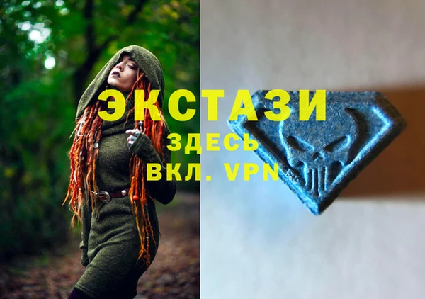 индика Нягань