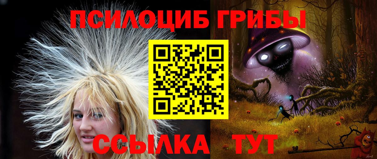 Галлюциногенные грибы мухоморы  Мегион  Галлюциногенные грибы Psilocybine cubensis 