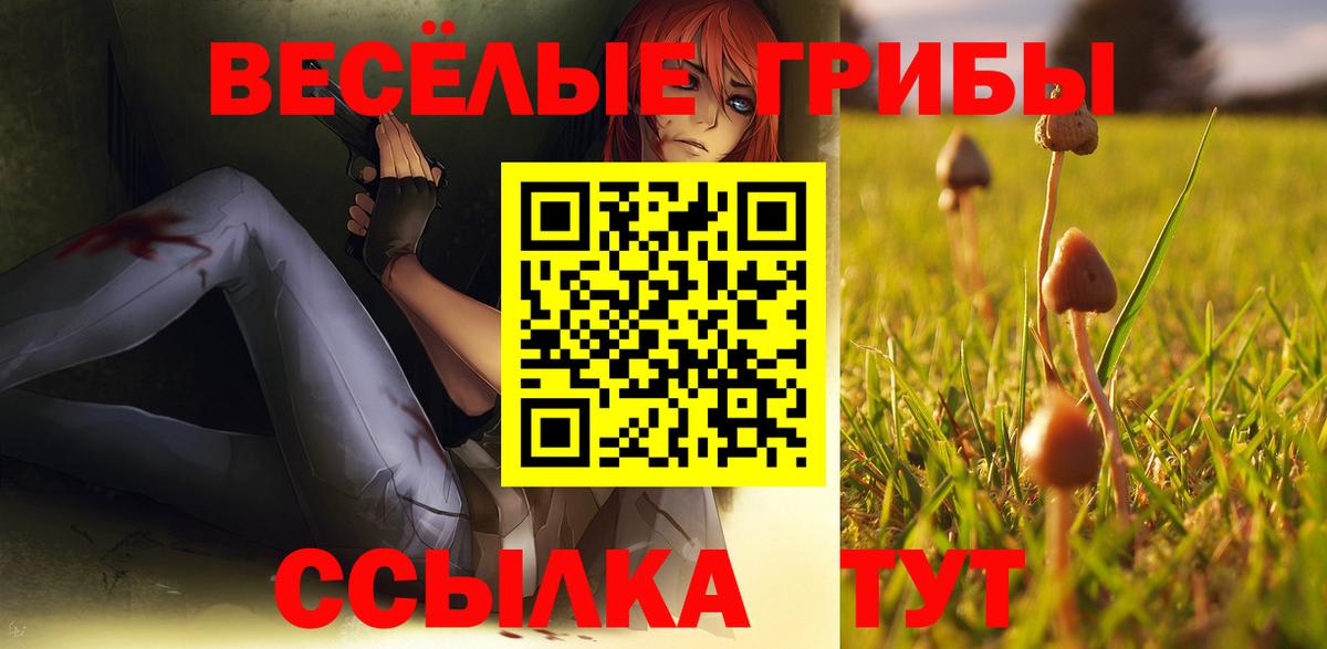 Псилоцибиновые грибы Psilocybine cubensis Мегион